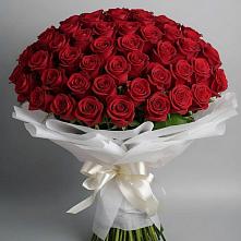 Букет 101 Красная роза Блэк Мэджик #REPLACE_PRED# Кудиново