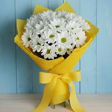Букет цветов из:  Хризантемы в Кудиново