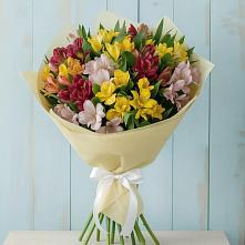 Букет цветов из:  Альстромерии в Кудиново