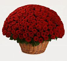 Премиум букет из: Розы #REPLACE_PRED# Кудиново