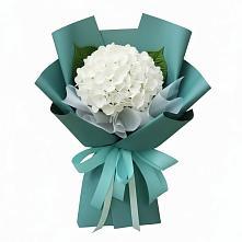 Букет цветов из:  Гортензия в Кудиново